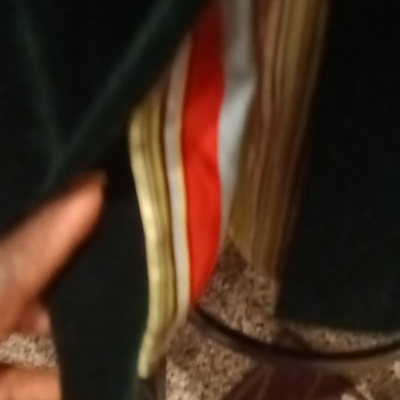 FINAL PRICE J. CREW strapless winter green dress w striped silk lining pleat 8 - Picture 13 of 13